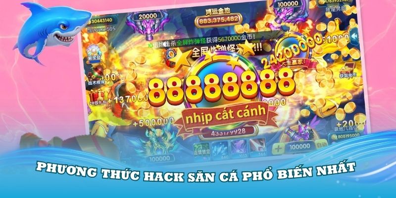 Những phương thức hack săn cá phổ biến nhất